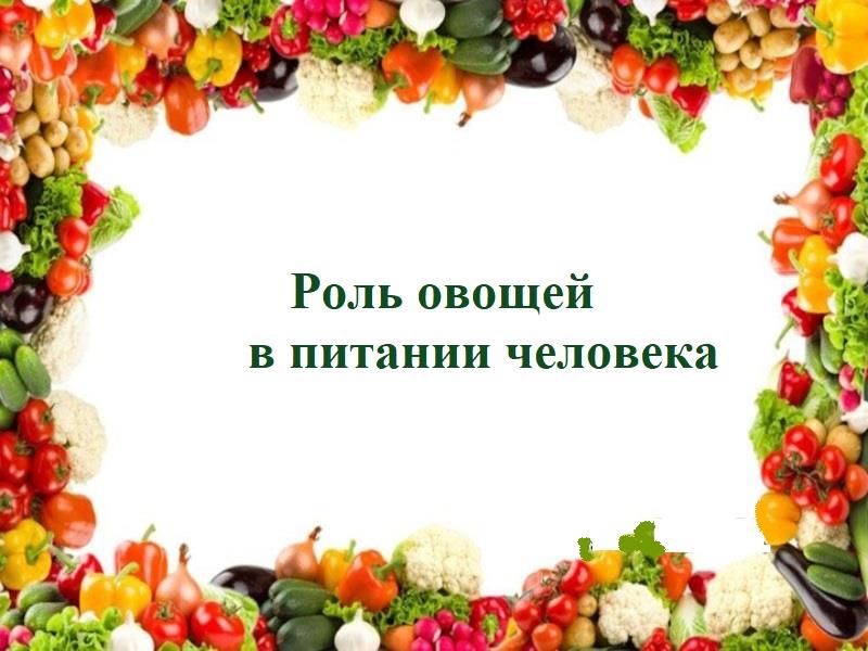 Муниципальная Экостанция. Занятие по теме «Роль овощей в питании человека. Выставка «Овощная фантазия».